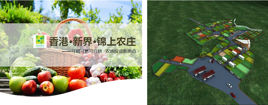 香港 · 锦上农庄